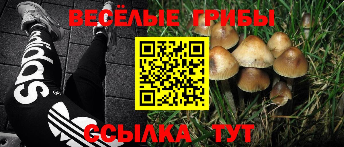 МЕФ  Бердск  КОКАИН  Вход с VPN  Меф МЯУ МЯУ   Каннабис 