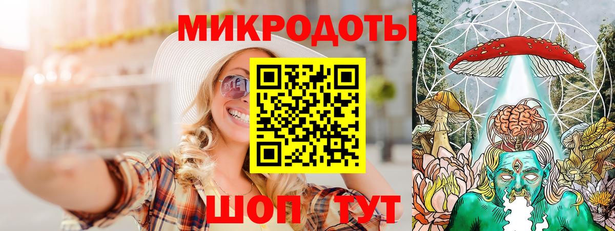 Псилоцибиновые грибы Psilocybe Бердск