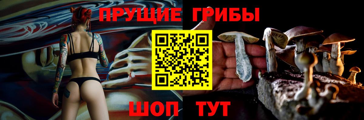 Бердск  Галлюциногенные грибы Magic Shrooms  Вход с VPN  Псилоцибиновые грибы Psilocybe 